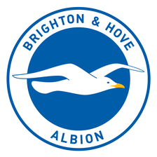 Manager of Brighton and Hove Albion’s women team dismissed after allegations