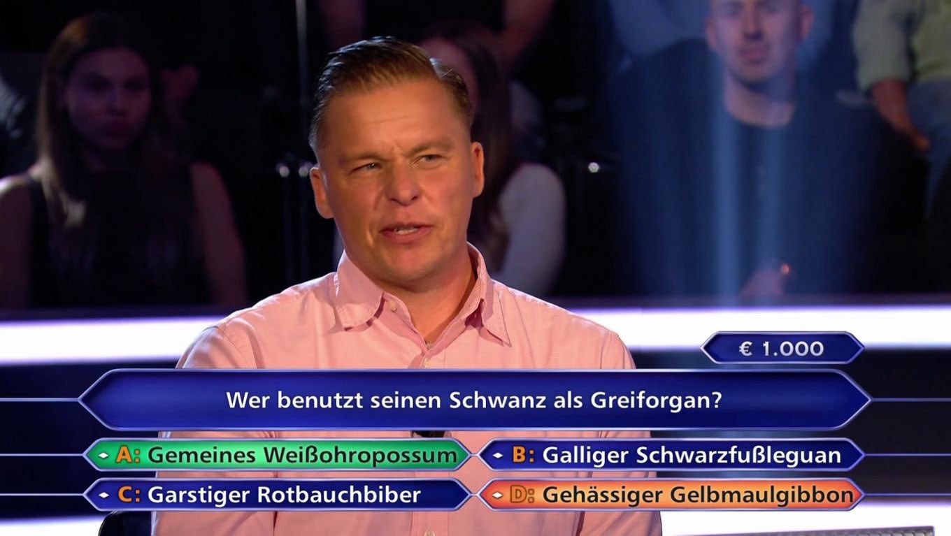 Da war's, bei der 1.000-Euro-Frage, auch schon geschehen: Kandidat Muschalle fasste einen schnellen Entschluss.