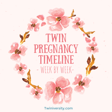 twin pregnancy timeline week by week