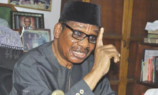 Itse Sagay reveals the presidential candidate that can never win APC's primary election