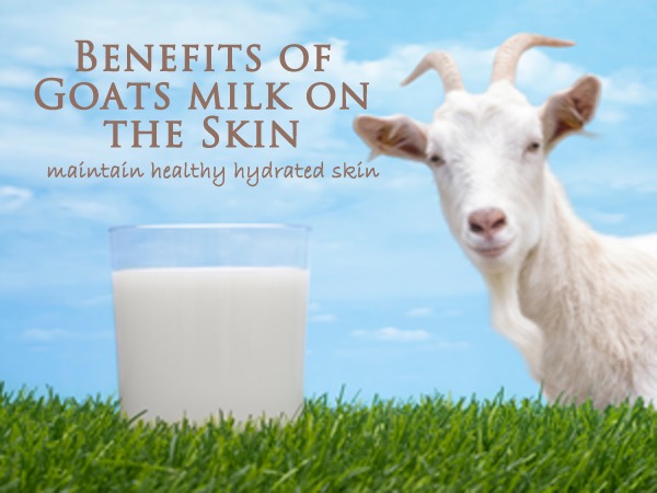 Benefits of Goat Milk - Calla Lily Cosmetics