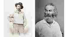 Walt Whitman (Photo: Wikimedia Commons)