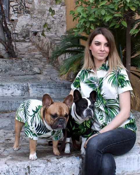 0ea58aa4268d8f6ea6fa5f2a4b7b741e?quality=uhq&format=webp&resize=720