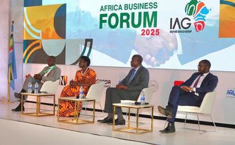 A panel at the Africa Business Forum
