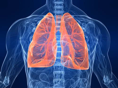 Here Are The Signs Of Lung Infection That Should Not Be Ignored 0f586d50b59c4ba4a6b0b6aea610c3e0 quality uhq format webp resize 720
