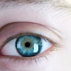 Every blue eyed person on Earth is a descendant of one single person, scientists find