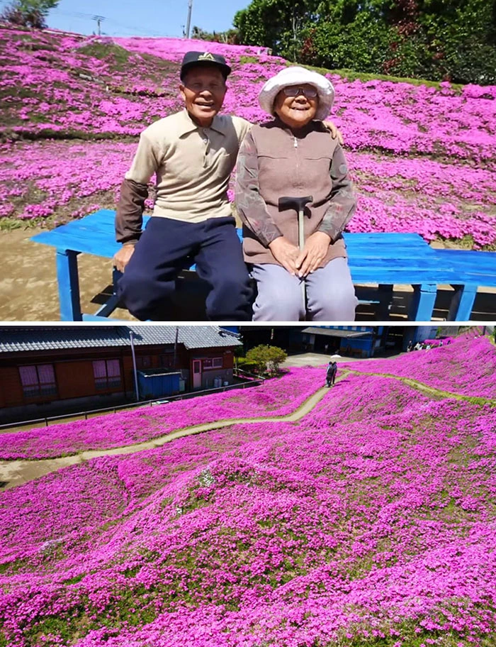 Husband Spends 2 Years Planting Thousands Of Scented Flowers For His Blind Wife To Smell And Get Her Out Of Depression
