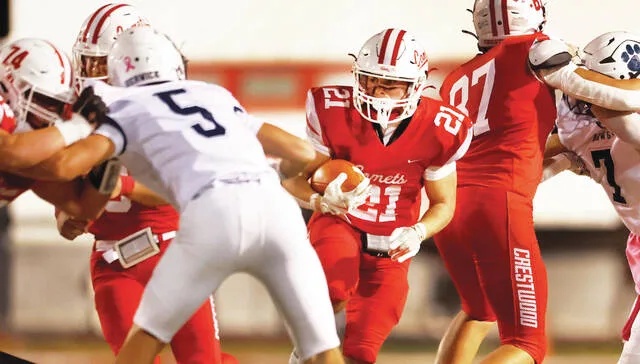 <p>Crestwood running back Jake Jeckell looks for space after hitting a hole against Berwick.</p>
                                 <p>Fred Adams | For Times Leader</p>