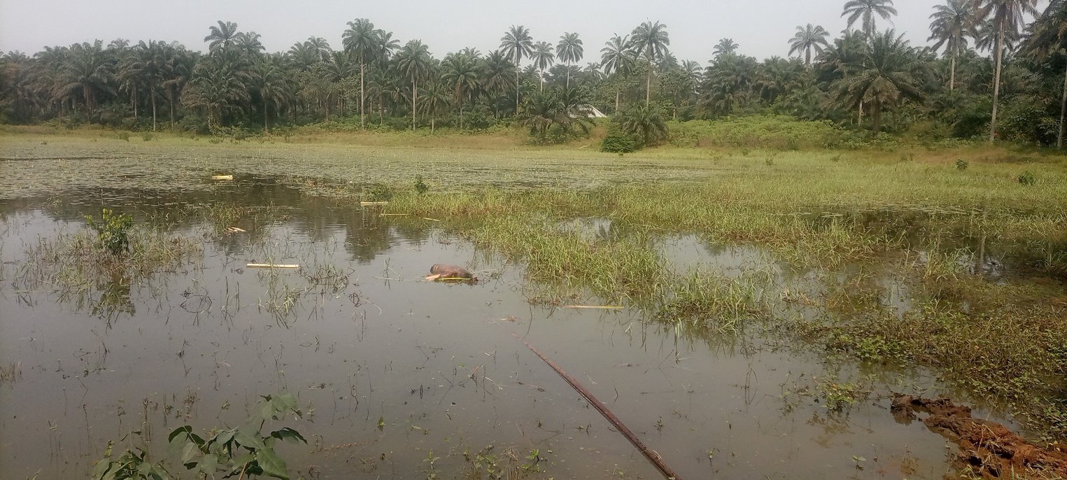 Update: Body of man surfaces three days after he 