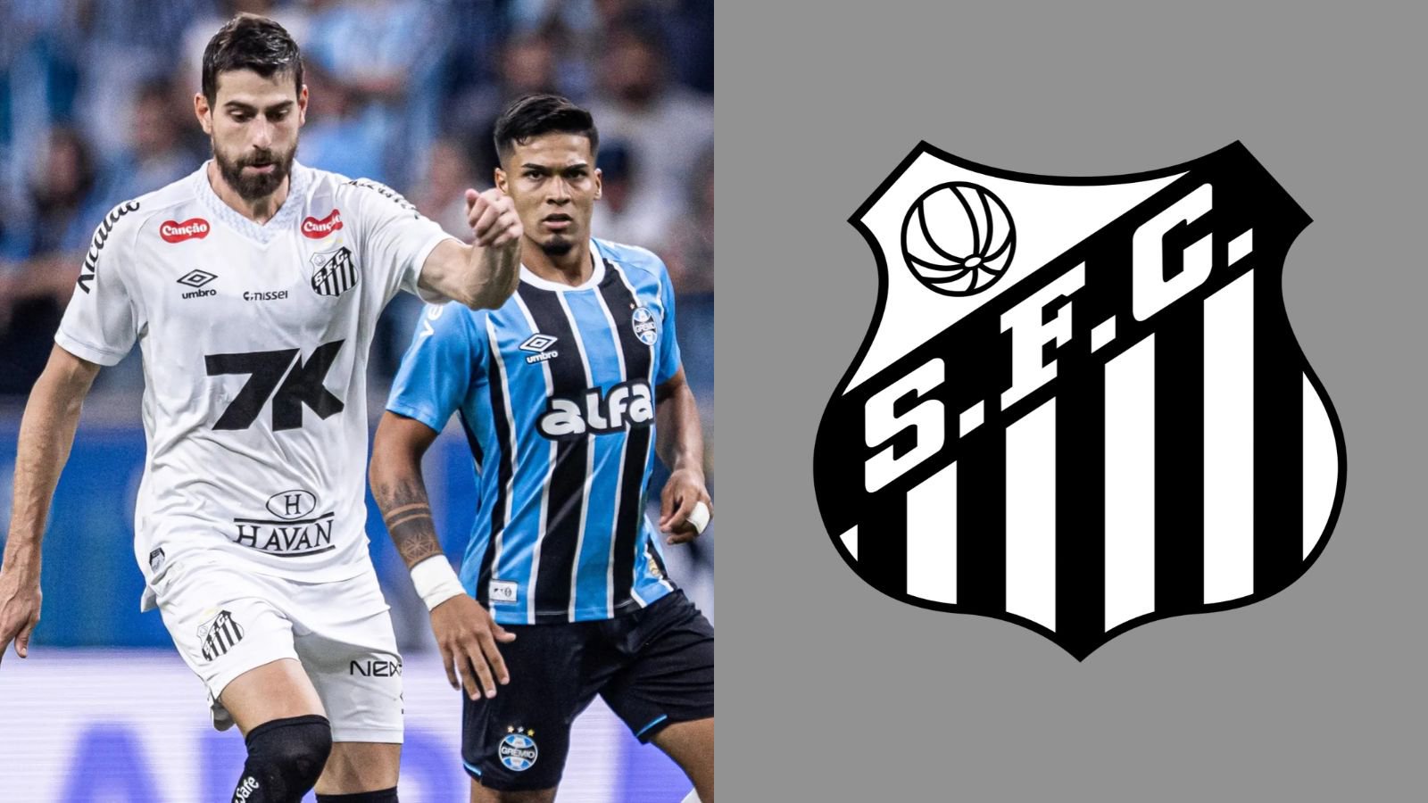 Foto: Raul Baretta/Santos FC