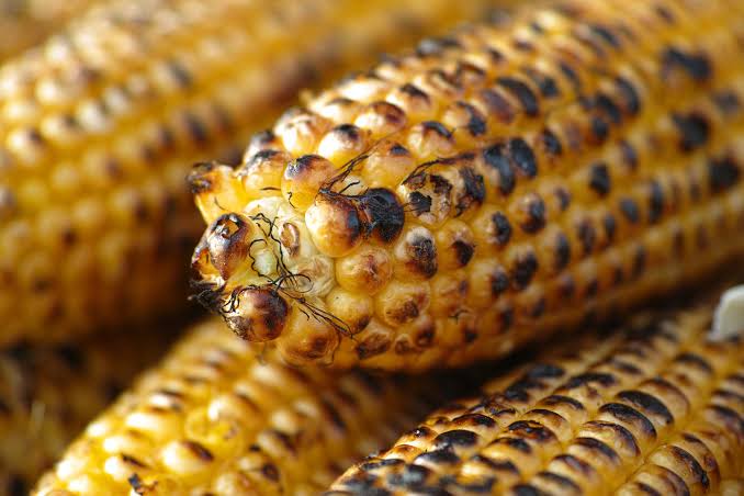 9-health-benefits-of-eating-roasted-maize-in-the-body-opera-news