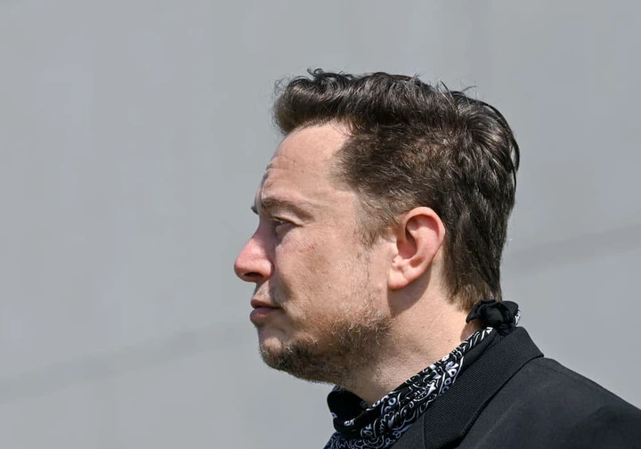 Elon Musk, Apocalypse
