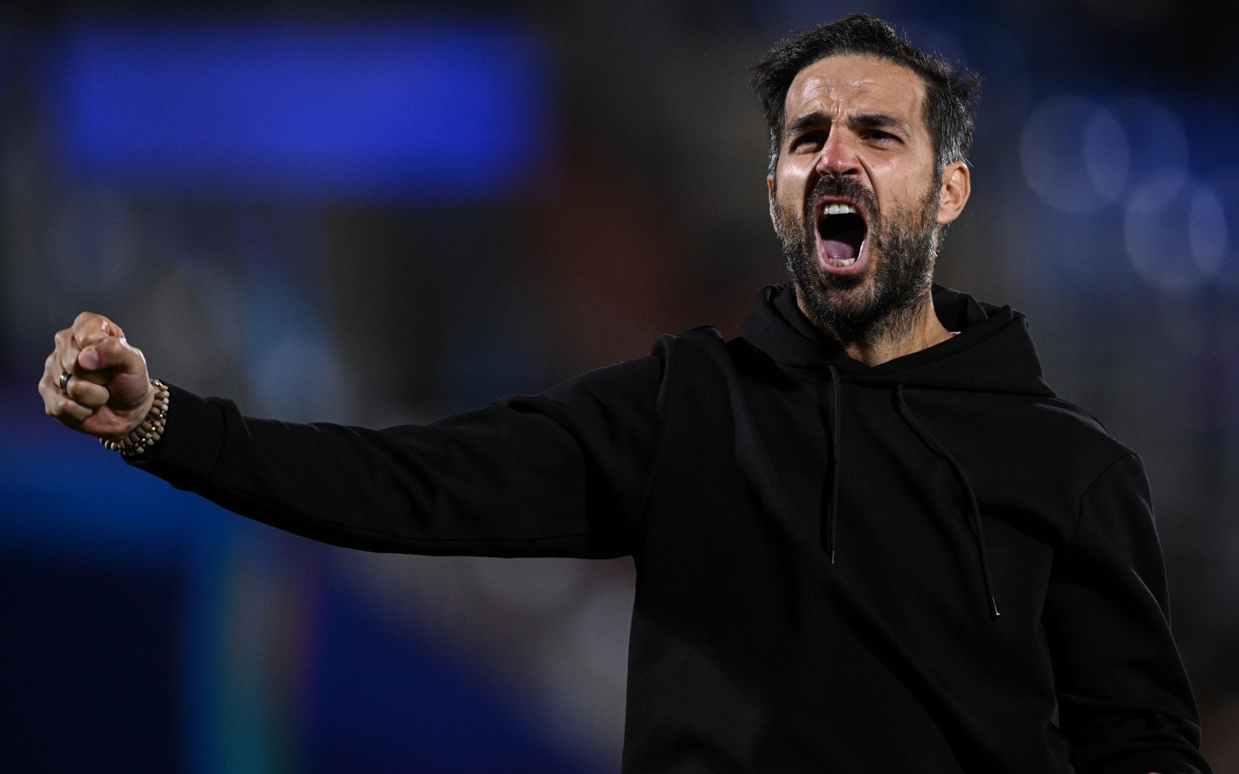 Cesc Fabregas