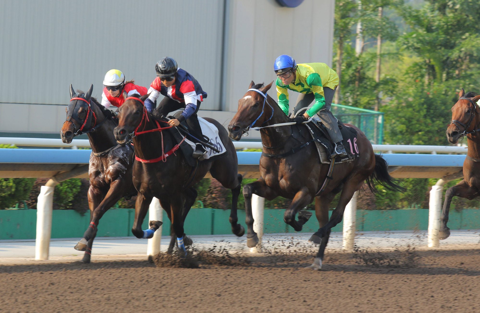 Salon S (middle) trials at Sha Tin last month.