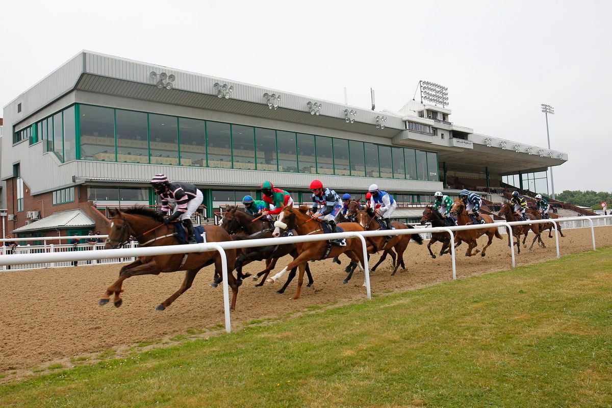 Newsboy's nap runs at Wolverhampton