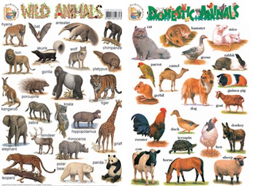 twi-names-of-93-domestic-and-wild-animals-english-twi-opera-news