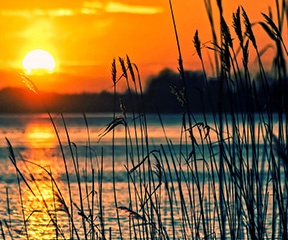 भाजपा में शामिल होने के बाद अपर्णा ने मुलायम सिंह का लिया आशीर्वाद, लखनऊ में हुआ भव्य स्वागत