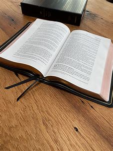 Image result for bible