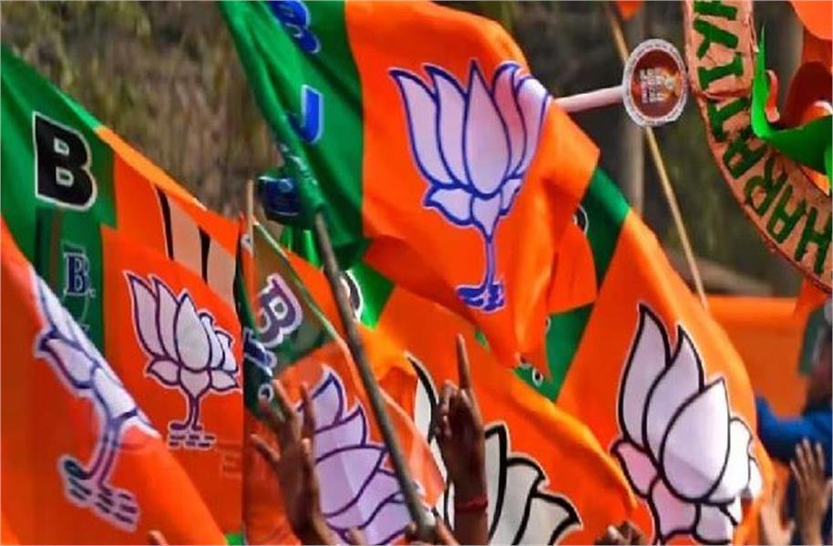 major reshuffle in the bjp organization