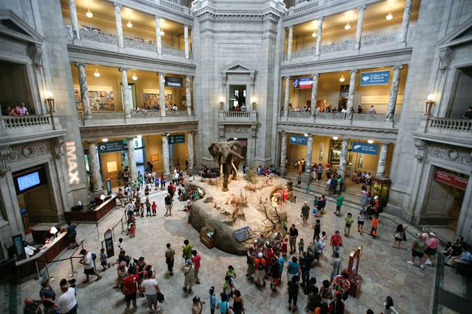Inside The National Museum Of Natural History Where Plant, Animal And Human Specimens Are Displayed 13f7bf35ed39416098c101f6fa9fc403?quality=uhq&format=webp&resize=720