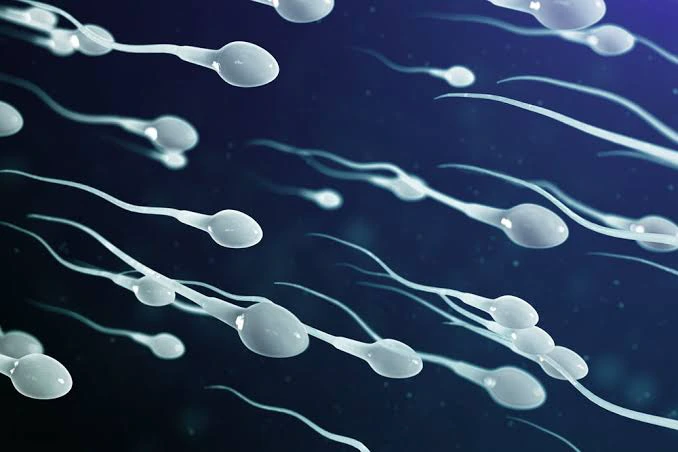 How to Know 3 Foods That Can Destroy The Sperm
