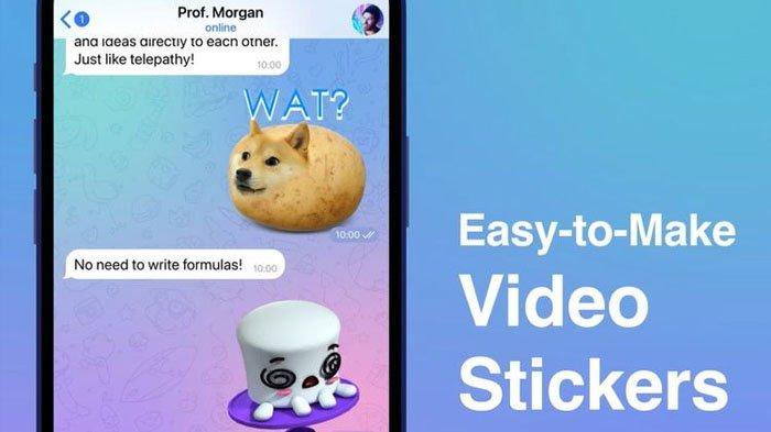 Stiker video di Telegram