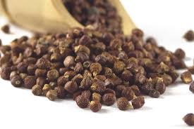 grains paradise substitute medicinal use spices expensive most wisa benefits health spiceography
