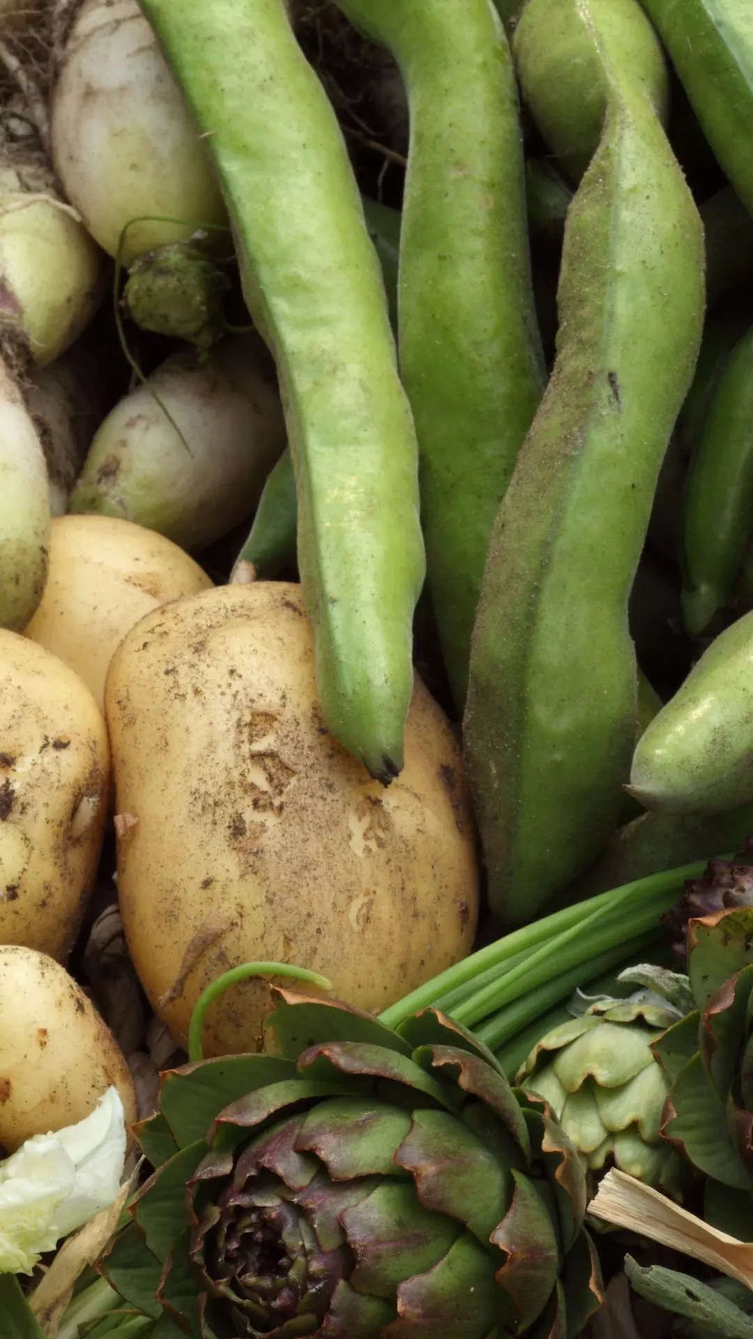 Grow vegetables in 30 days