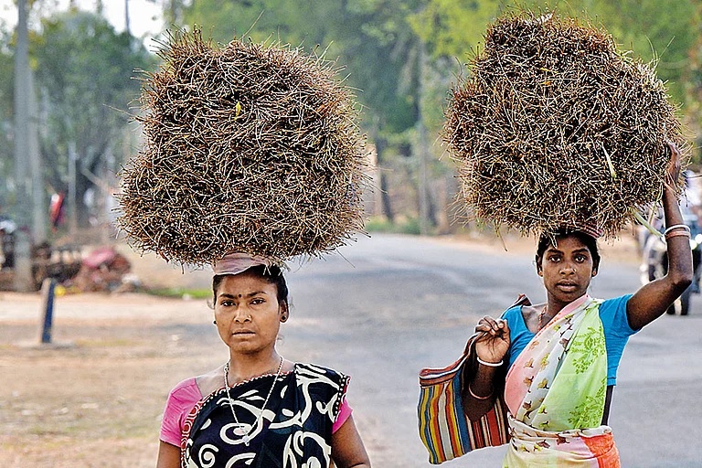 
According to officials associated with the Commission, two to three new complaints are still being filed every day.  - Photo: Tribhuvan Tiwari