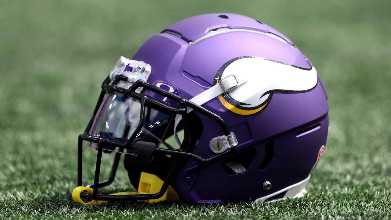 Arden Walker, Minnesota Vikings