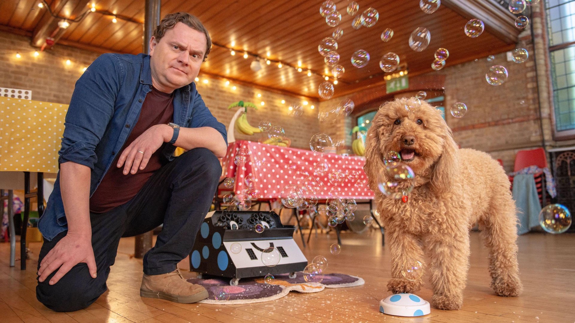 James / Simon and Waffle the Wonder Dog