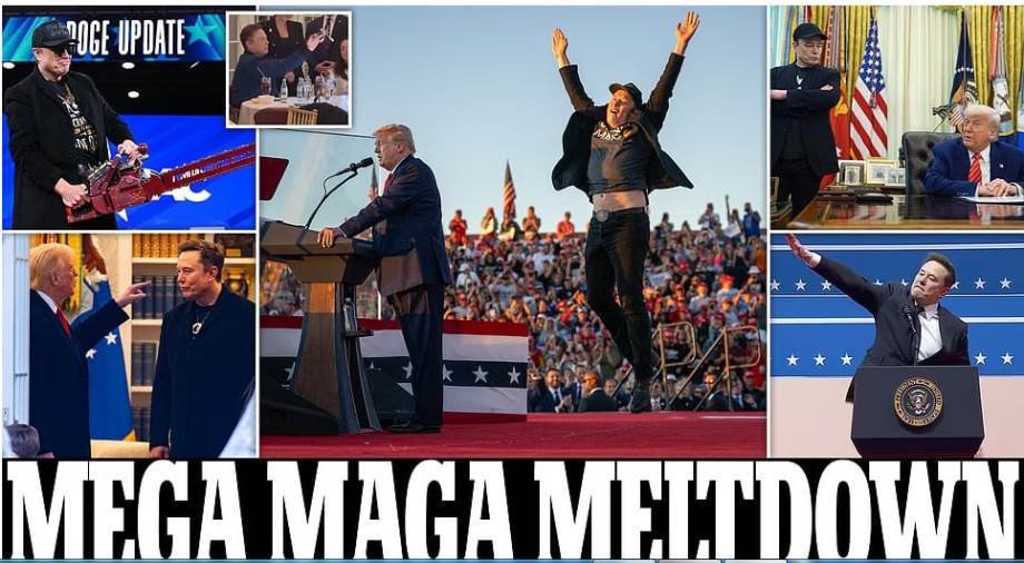 ترامب وماسك