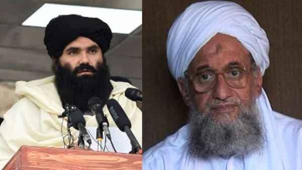 जवाहिरी की मौत पर पाकिस्तान का हाथ