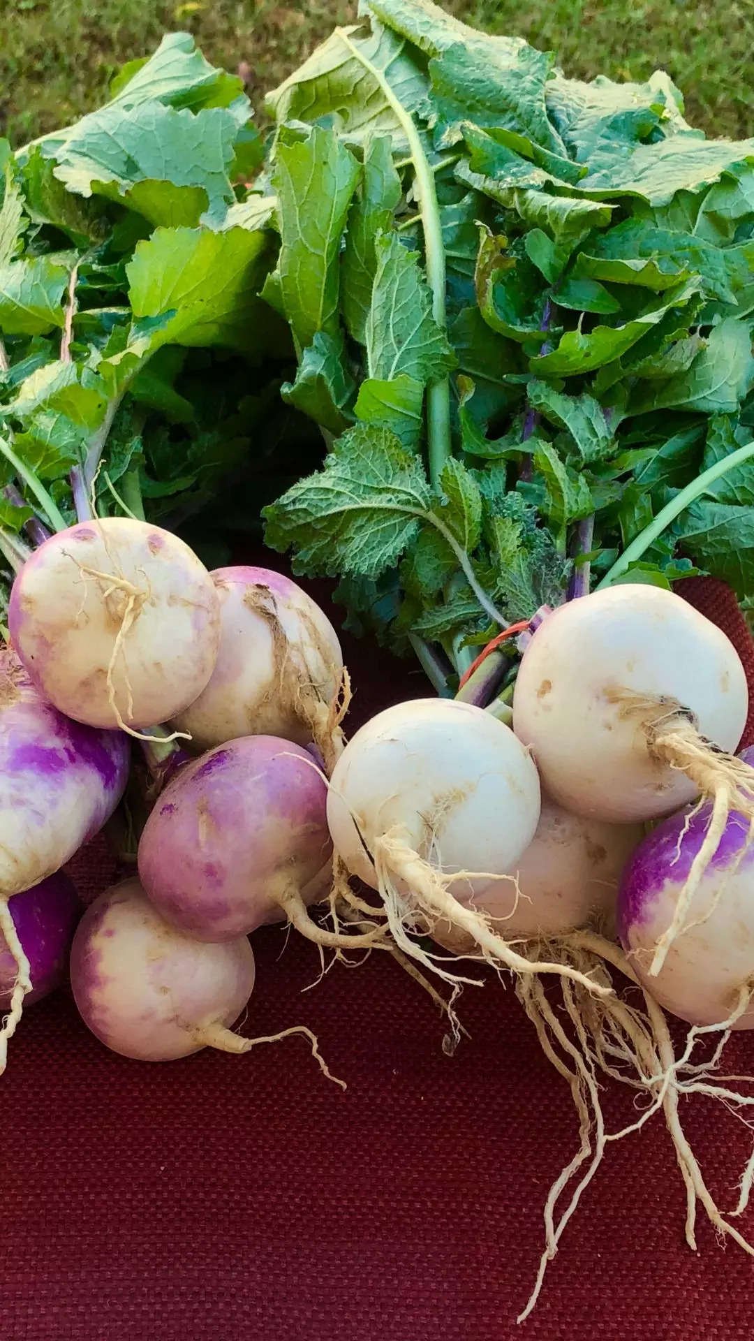 ​Turnips