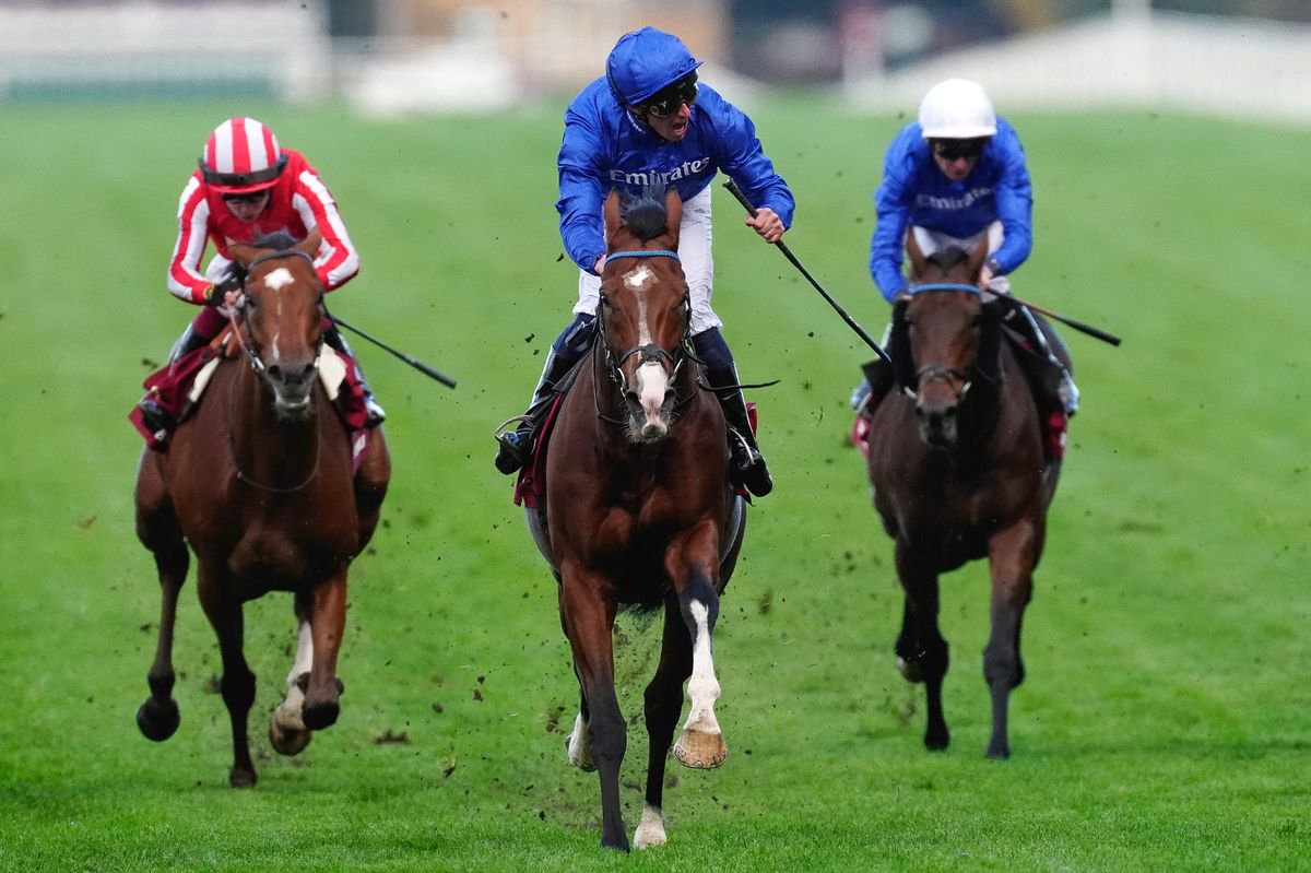 William Buick riding Ombudsman (all blue) to win the Qatar Racing Champion Stakes 