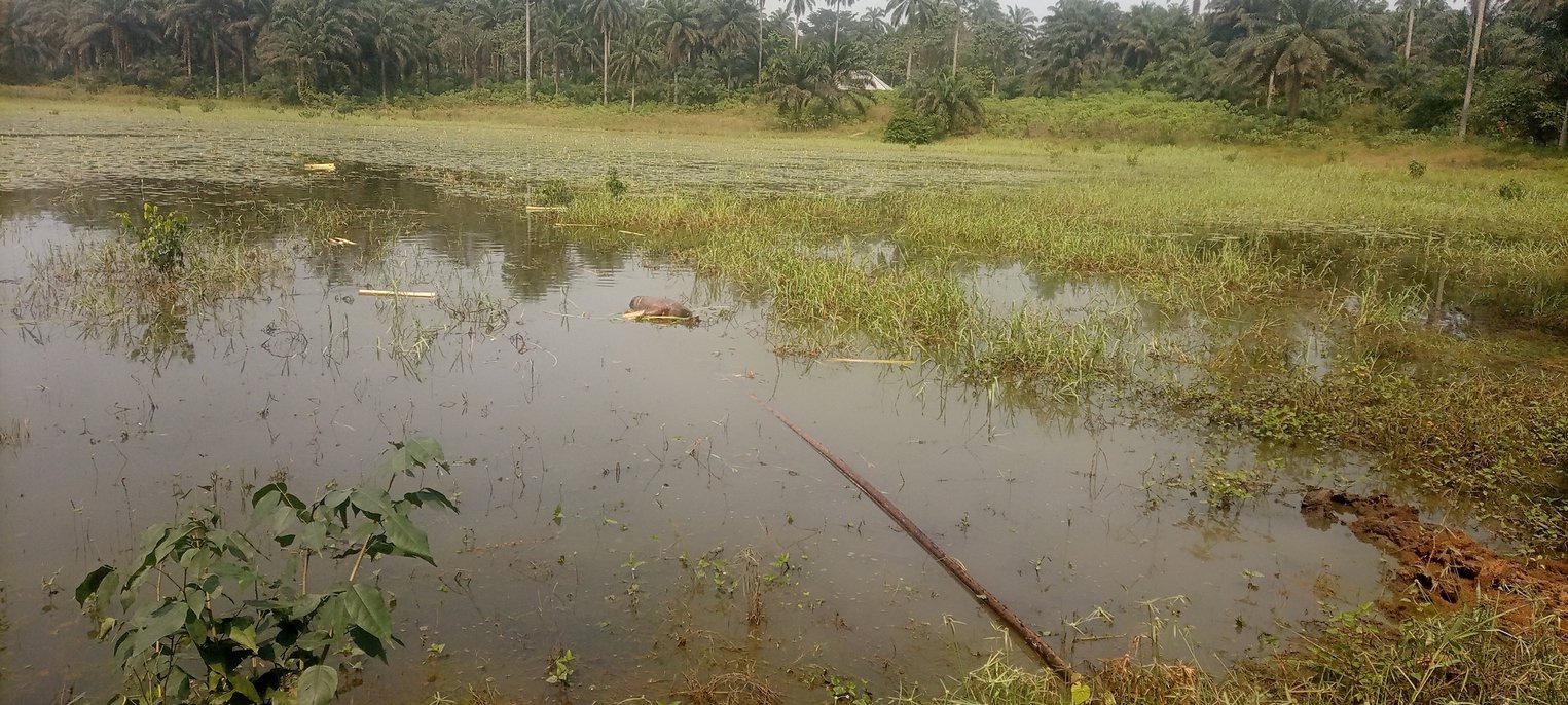 Update: Body of man surfaces three days after he 