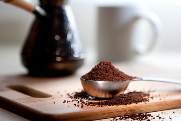 Se débarrasser des fourmis à la maison : le marc de café
