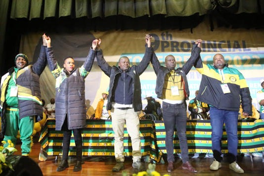 ANC North West elects Supra Mahumapelo-endorsed top 5
