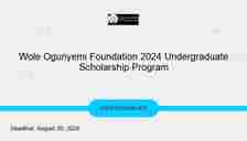 Wole Ogunyemi Foundation 2024 Undergraduate Scholarship Program
