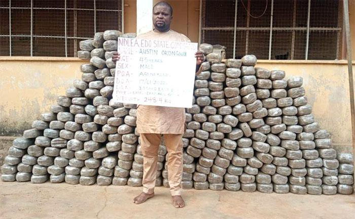 Dealers in drug-garnished zobo, noodles, biscuits nabbed in Abuja; cocaine concealed Saudi-bound hair 