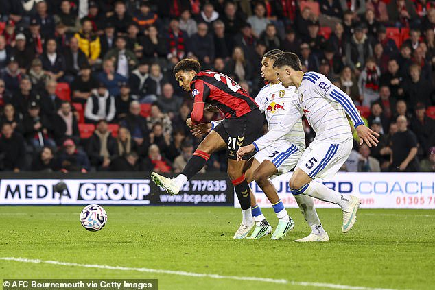 The English goalkeeper could do little about Amine Adli’s finish that double Bournemouth’s lead in second-half stoppage time