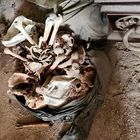 Horror as 500 coffins and 200 sacks of rotting human remains discovered in cemetery sheds