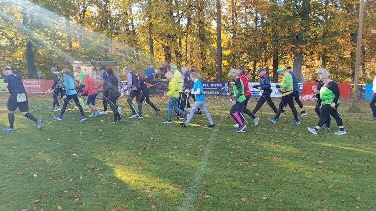 Walkerinnen und Walker mit Stöcken starten auf dem Sportplatz in Branitz, im Hintergrund Herbstbäume im Gegenlicht