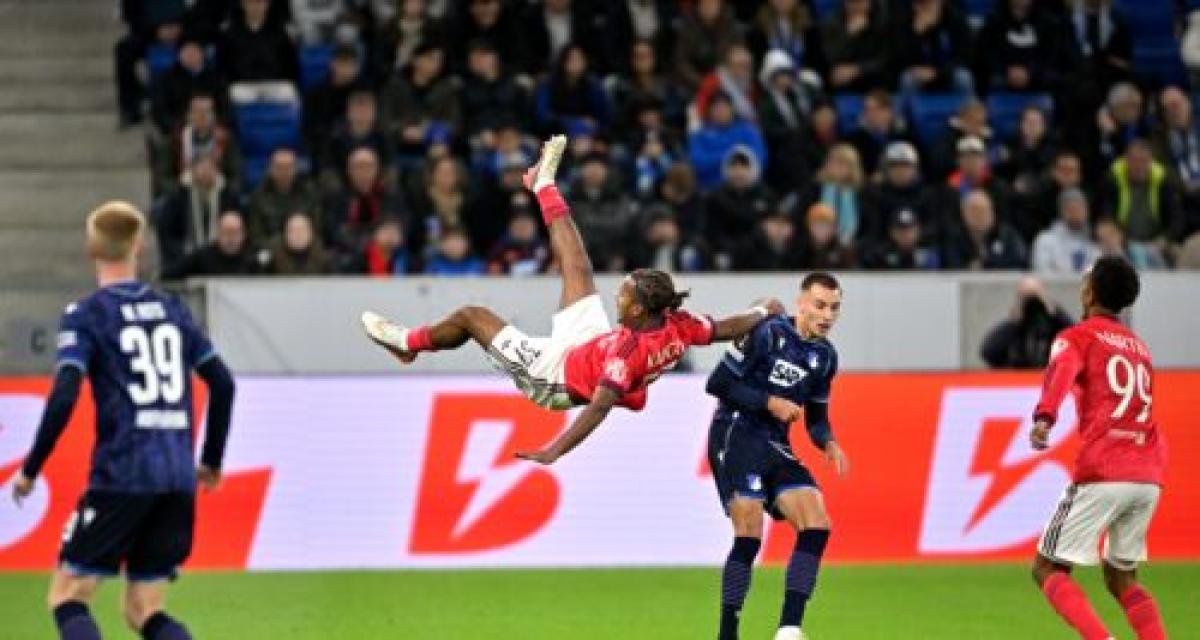 Steeve Kango