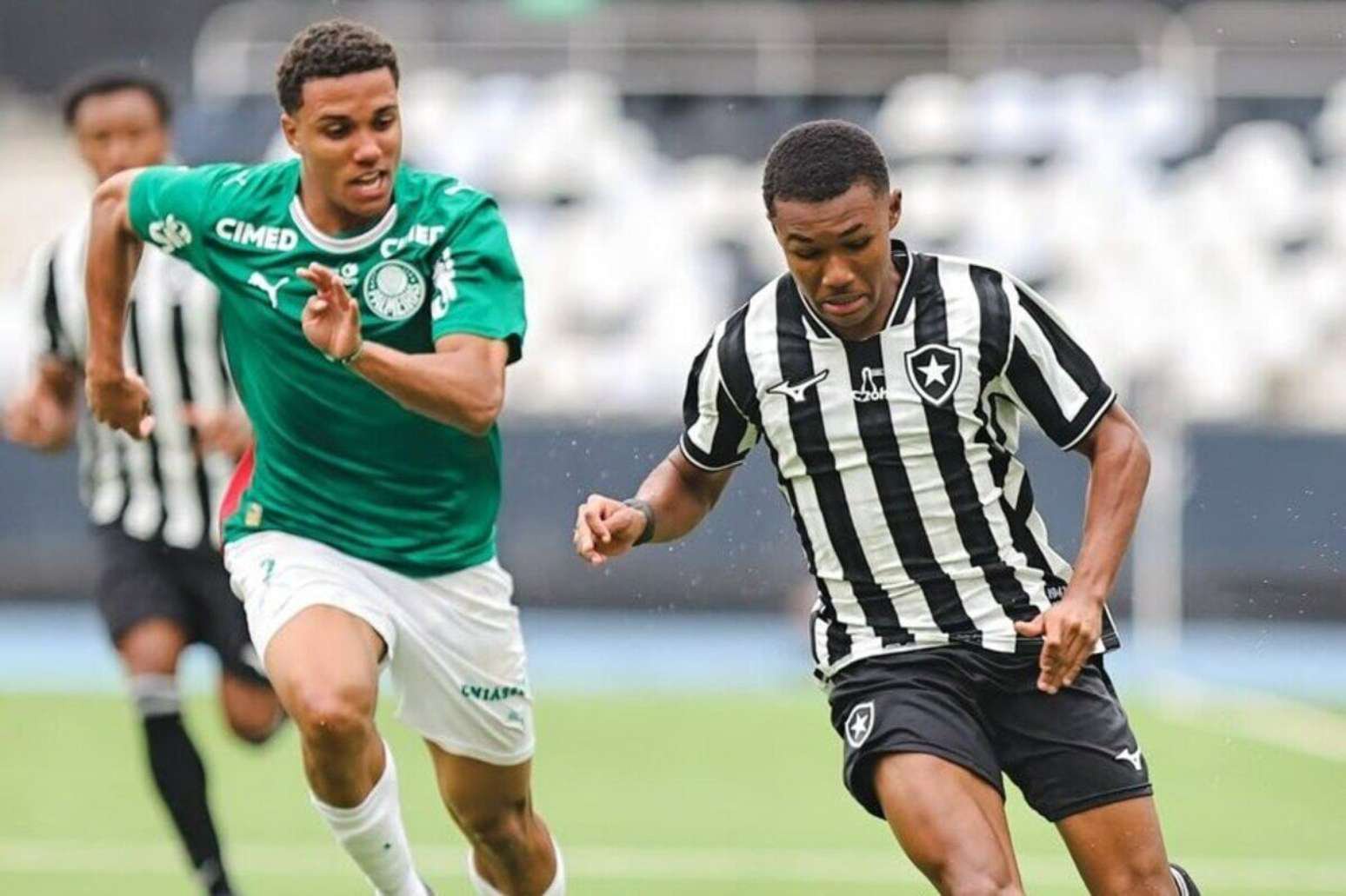 Botafogo não foi páreo para o Palmeiras –
