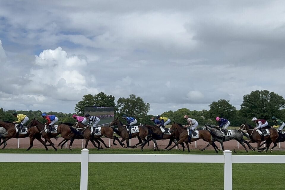 Course de galop à l'hippodrome de Châteaubriant le lundi 12 mai 2025.
