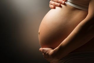 202ff6411c44c383368d9095e5647ca0?quality=uhq&format=jpeg&resize=720
