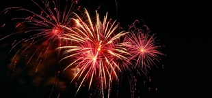 California teenager loses fingers from fireworks in July 4 celebration: reports