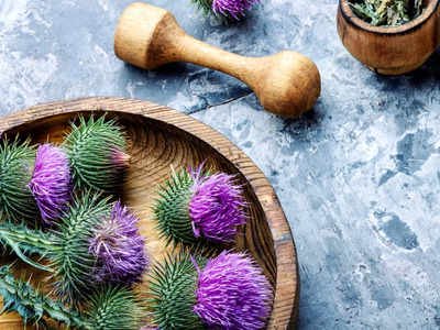​Milk thistle