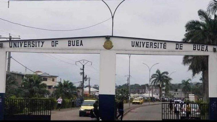 universite de buea